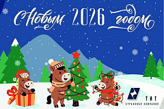 Поздравляем с Новым, 2026 годом!